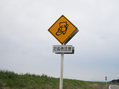 たぬき注意標識