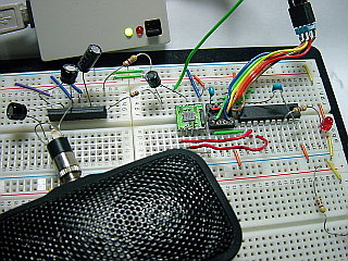 ブレッドボードでの実験画像