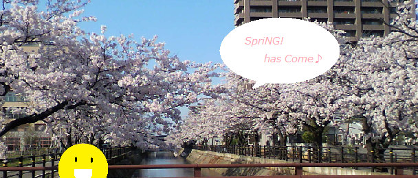 2012桜ロゴ